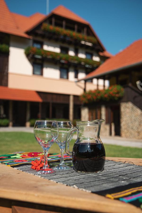Villa Gherman Sălciua de Jos Exteriér fotografie