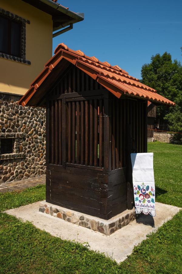 Villa Gherman Sălciua de Jos Exteriér fotografie