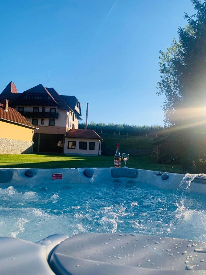 Villa Gherman Sălciua de Jos Exteriér fotografie